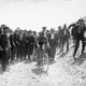 Illustration for article titled 101 Years of Tour de France Bikes Map the Evolution of Cycling